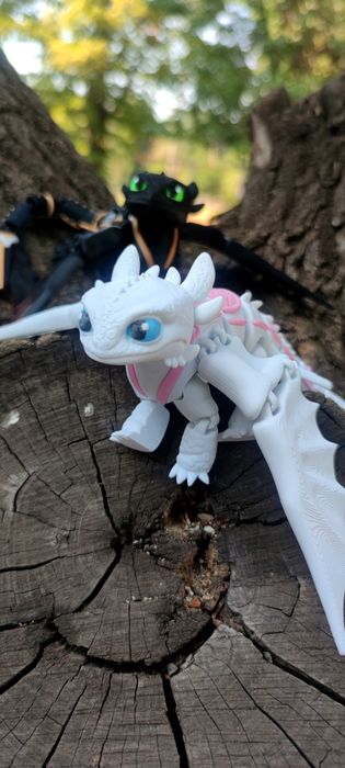 Нічна Фурія,Безубик,Денна Фурія