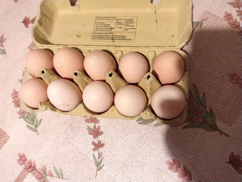 Sprzedam jajka wiejskie