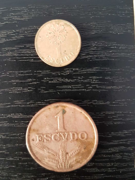 Moedas e notas de escudo