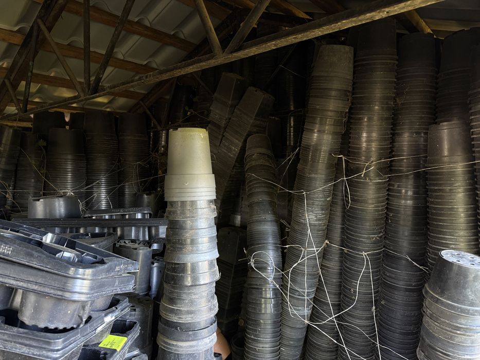 Doniczki produkcyjne 2,5 litra doniczka donica