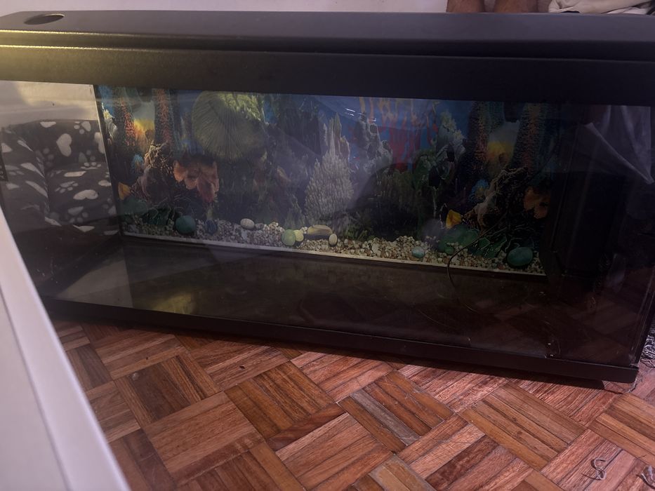 Aquario de 1 metro