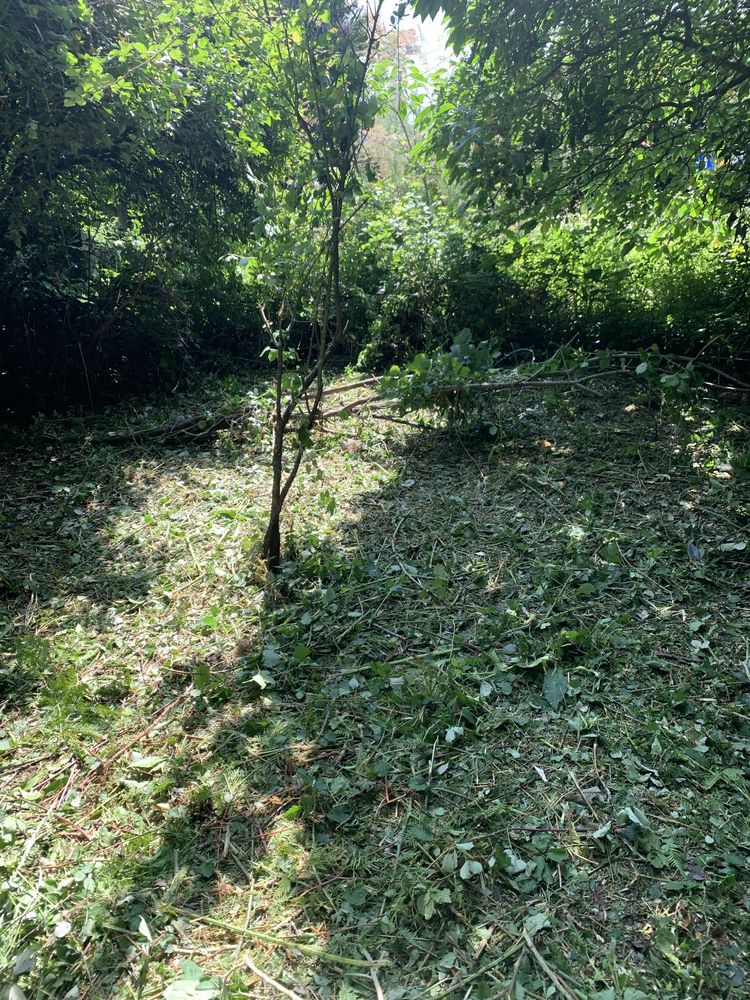 Servico jardinagem