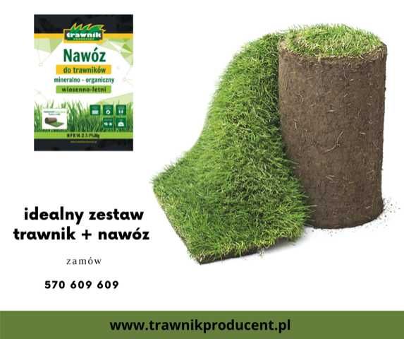 Trawnik z rolki Ogrodowo Sportowy