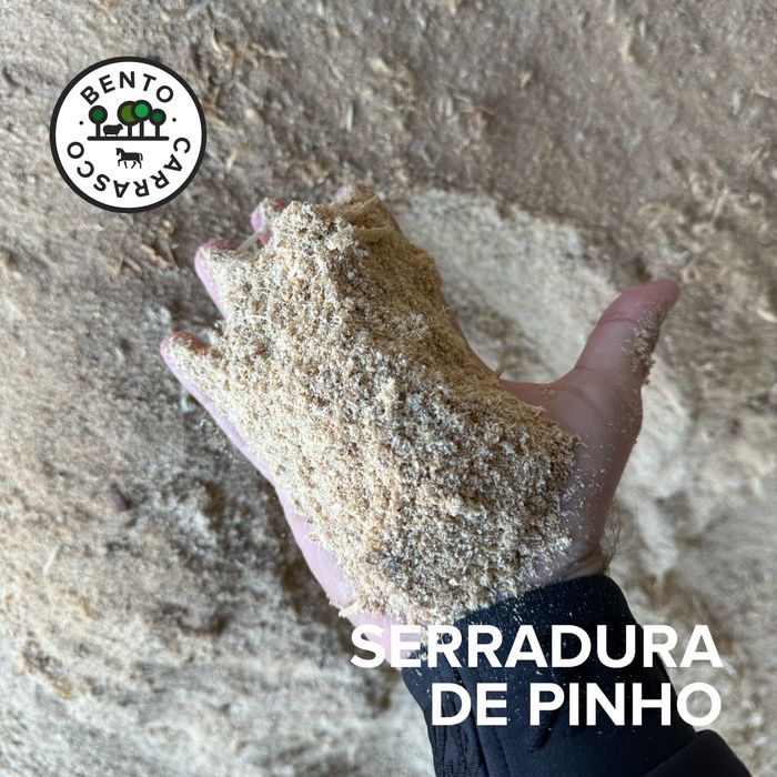 Apáras e Serradura de Pinho