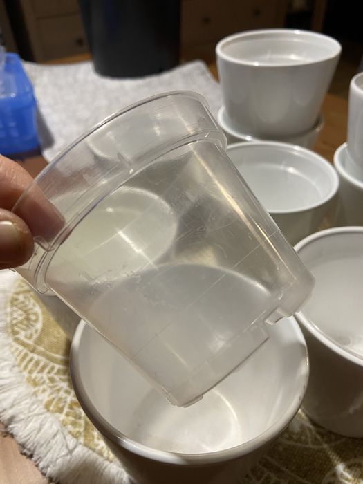 9x zestaw doniczka kaktus ceramiczna Polnix biała + wkład plastikowy