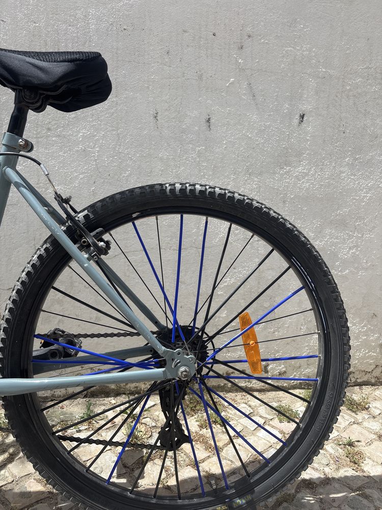 bicicleta  Berg
