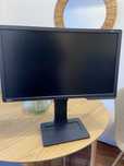 Monutor Benq XL2411