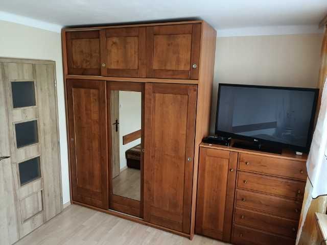 Pokój jednoosobowy do wynajęcia