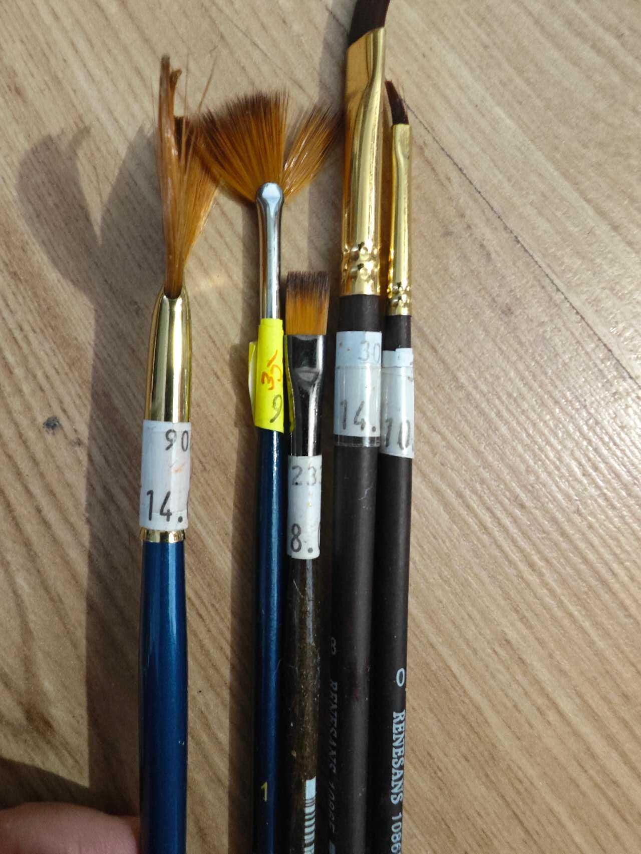 winsor newton Farby olejne i pędzle i Płótno malarskie