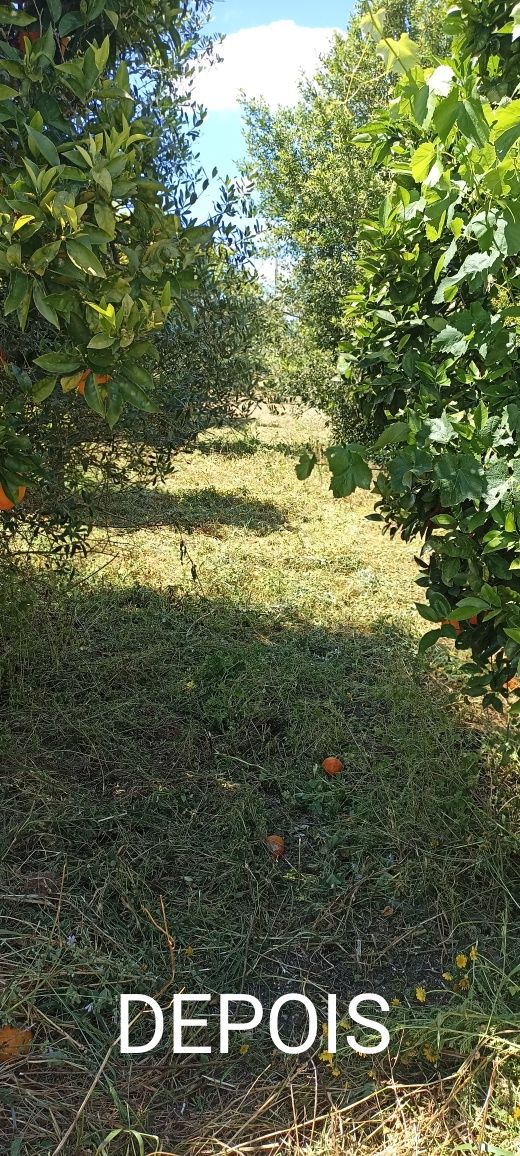 Faço limpeza de terrenos