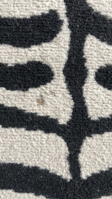 Dywan zebra 115x160 safari motyw zwierzęcy