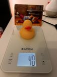 Waga kuchenna Raven