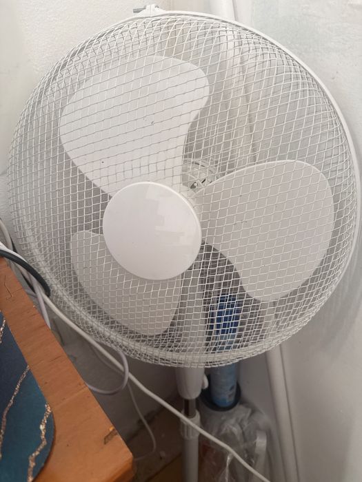 Ventoinha branca