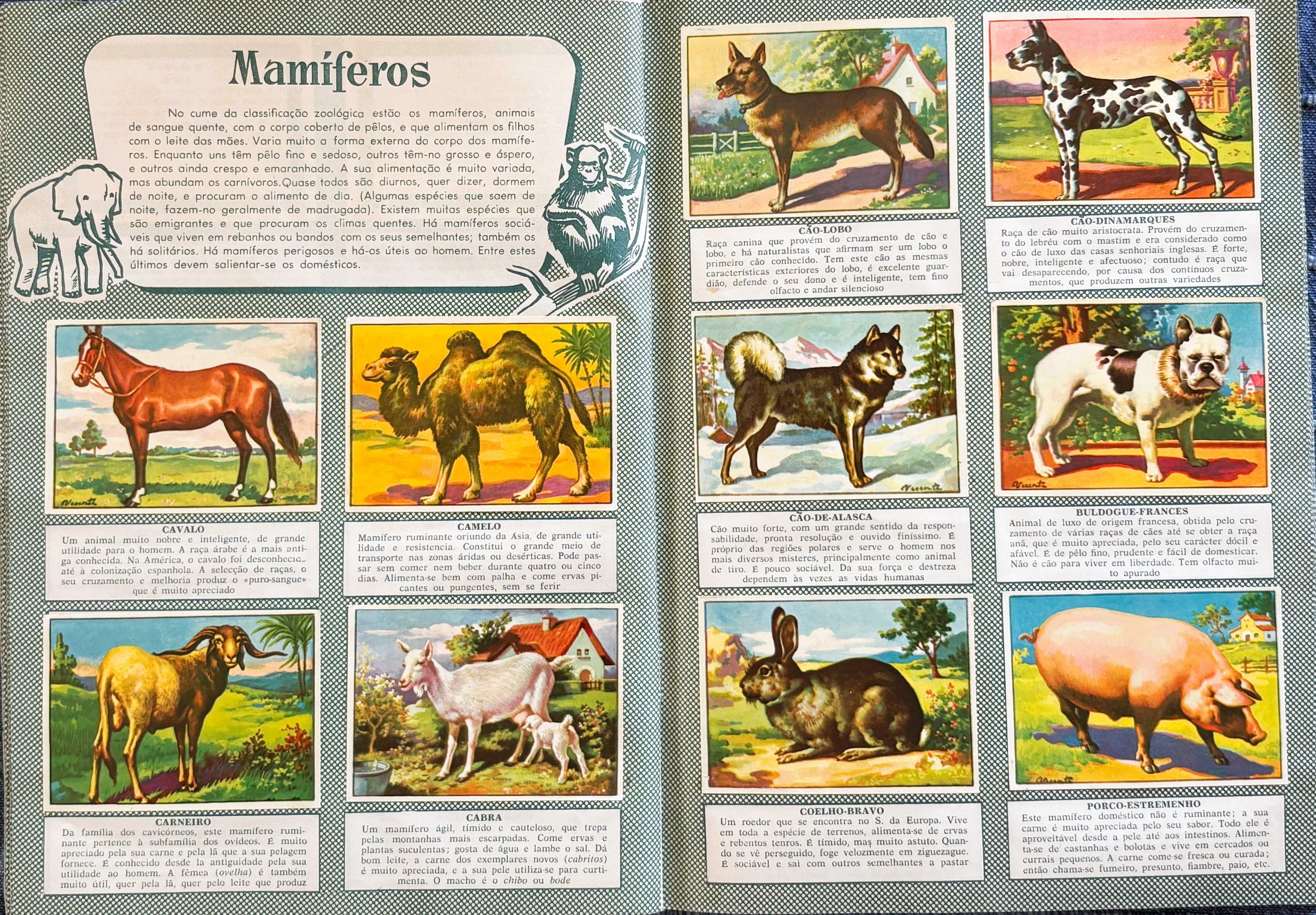 Caderneta Cromos - História Natural
