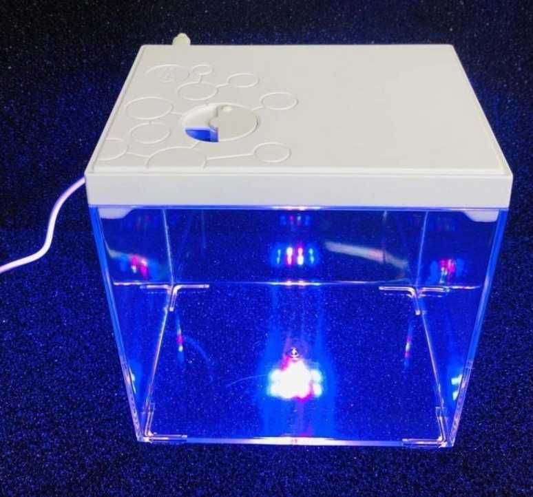 Aquario para betta com led