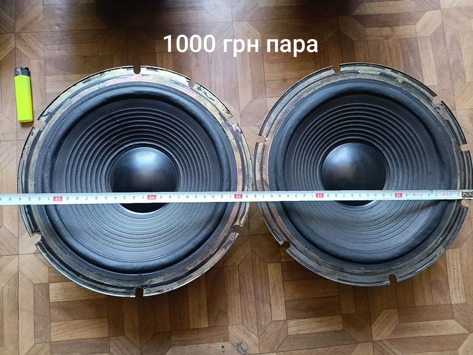 Мидбас динамики 10 дюймов