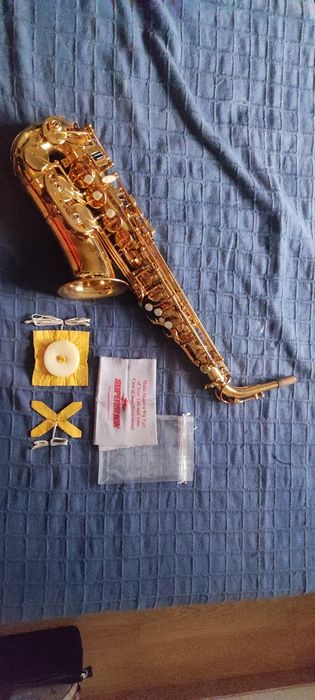 Sax alto Startone