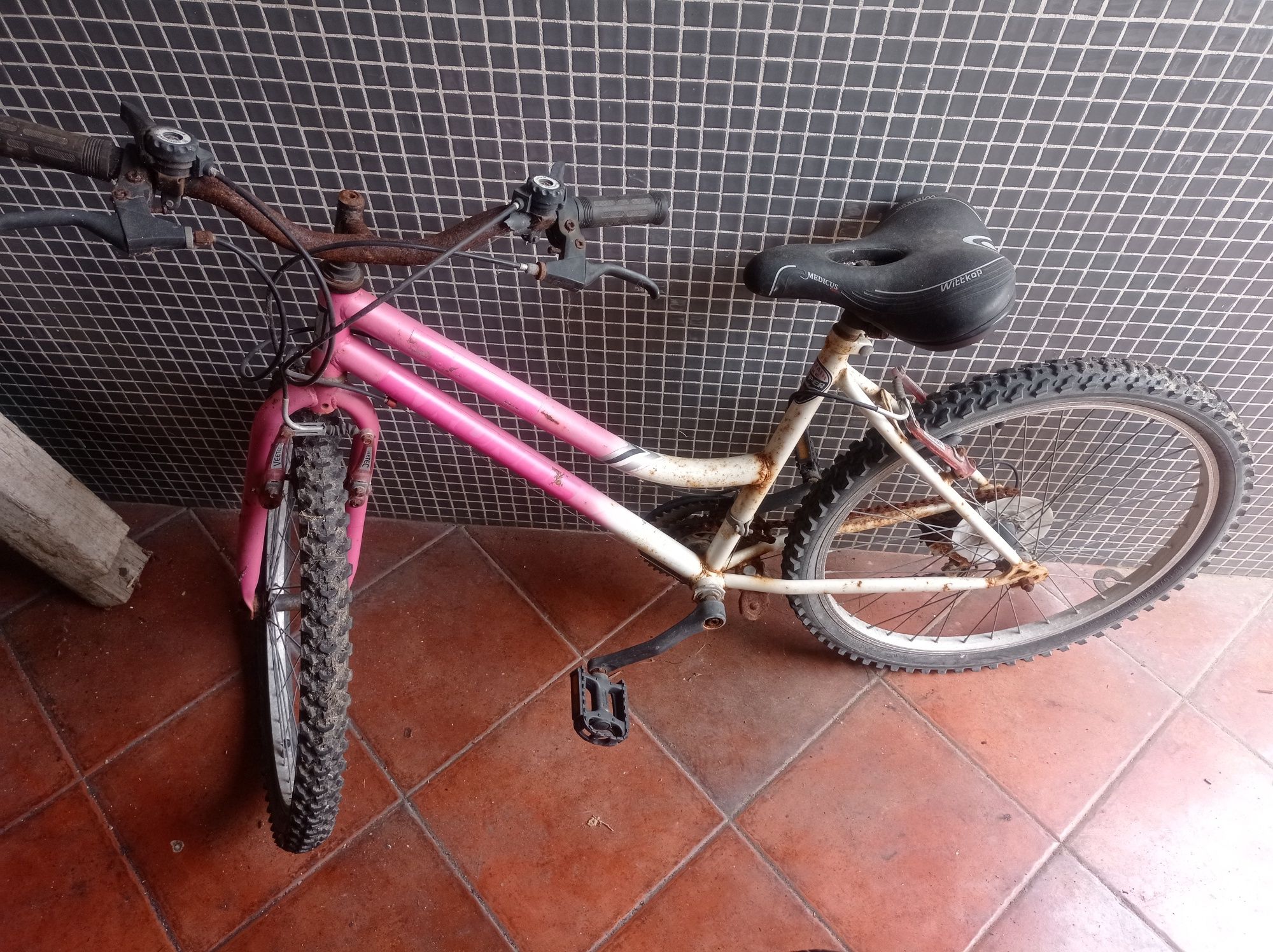 Bicicleta roda 24
