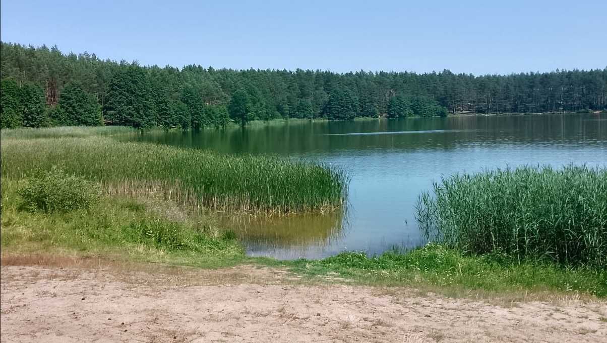 Zielony Domek z kominkiem na Kaszubach ferie majówka wakacje Kaszuby