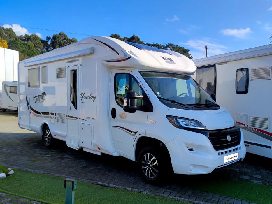 McLouis Yearling 79g - Edição Limitada