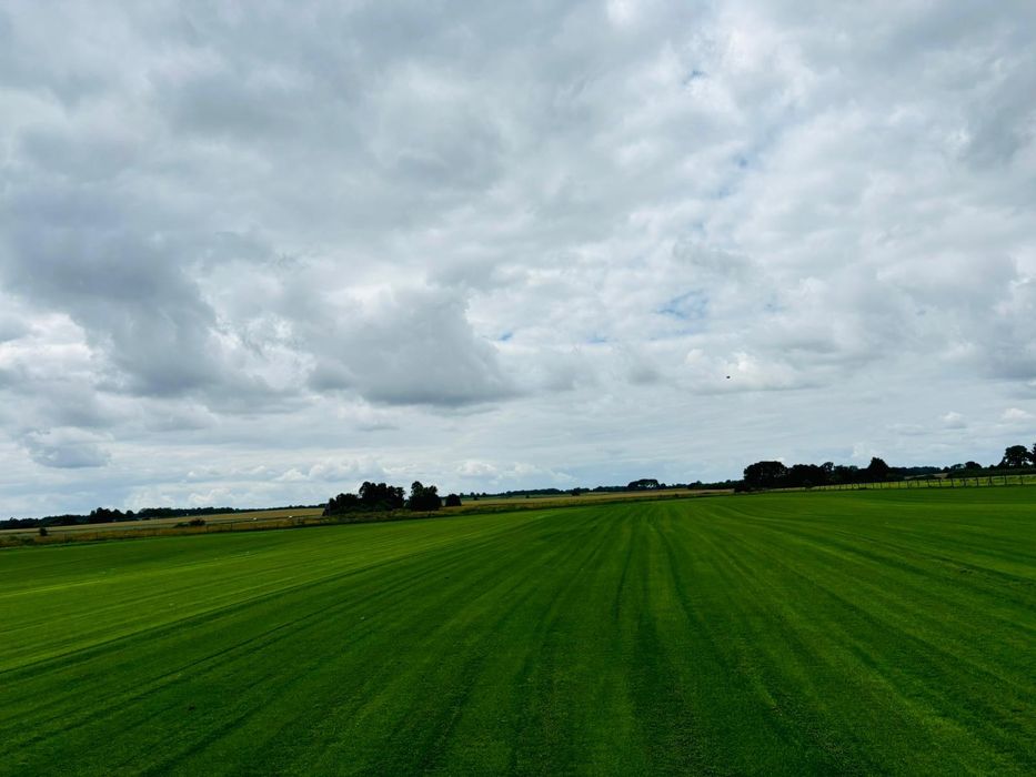 Trawa z rolki trawa w rolce trawniki transport montaż