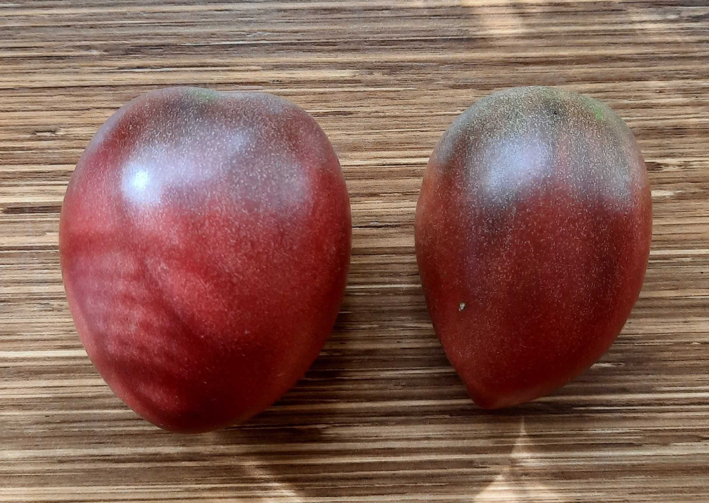 pomidor Purple Russian Plum nasiona kolekcjonerskie
