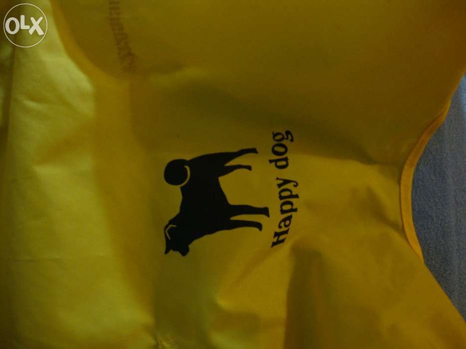 Roupa de pet com capucho