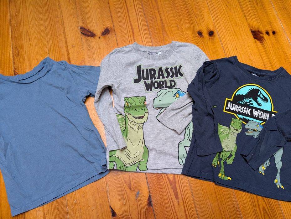 Paczka ubrań h&m r. 110/116, hm, bluza, spodnie, koszulka