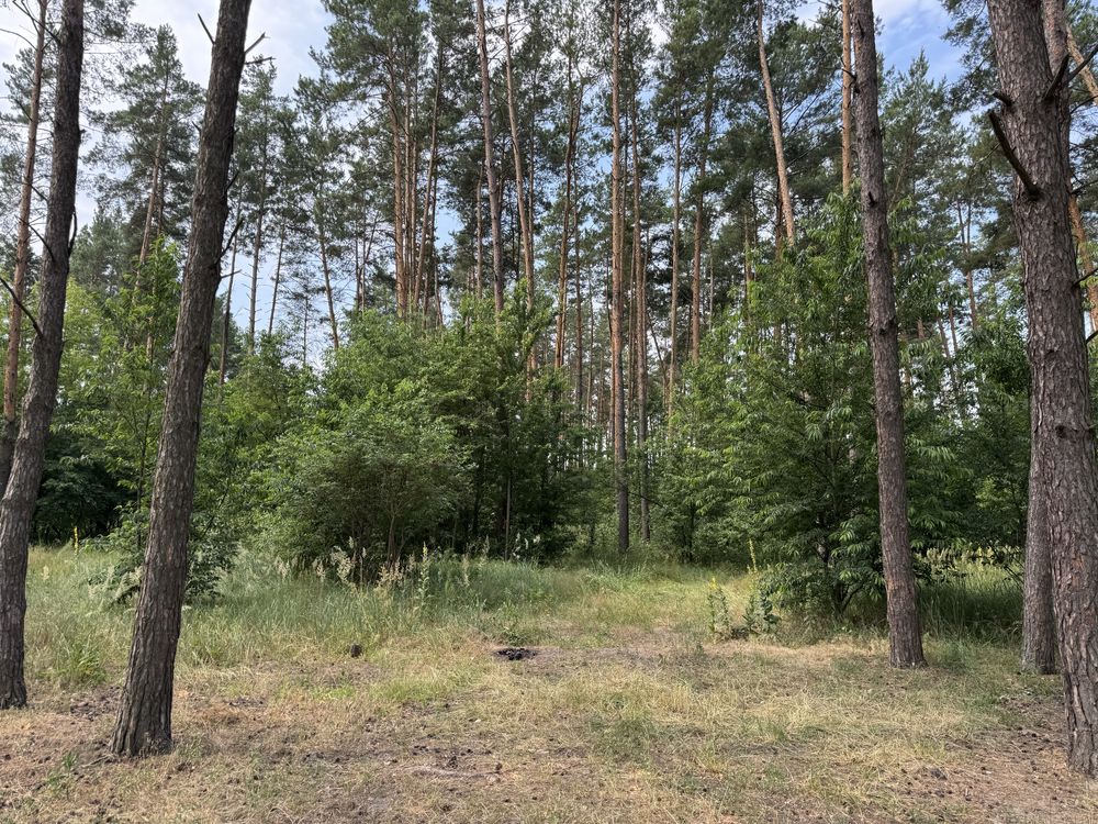 Земельна ділянка біля озера! 20 соток. Нове Залісся.