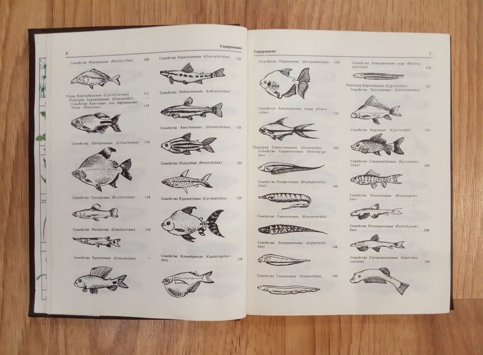 Декоративное рыбоводство. Кочетов А.М.