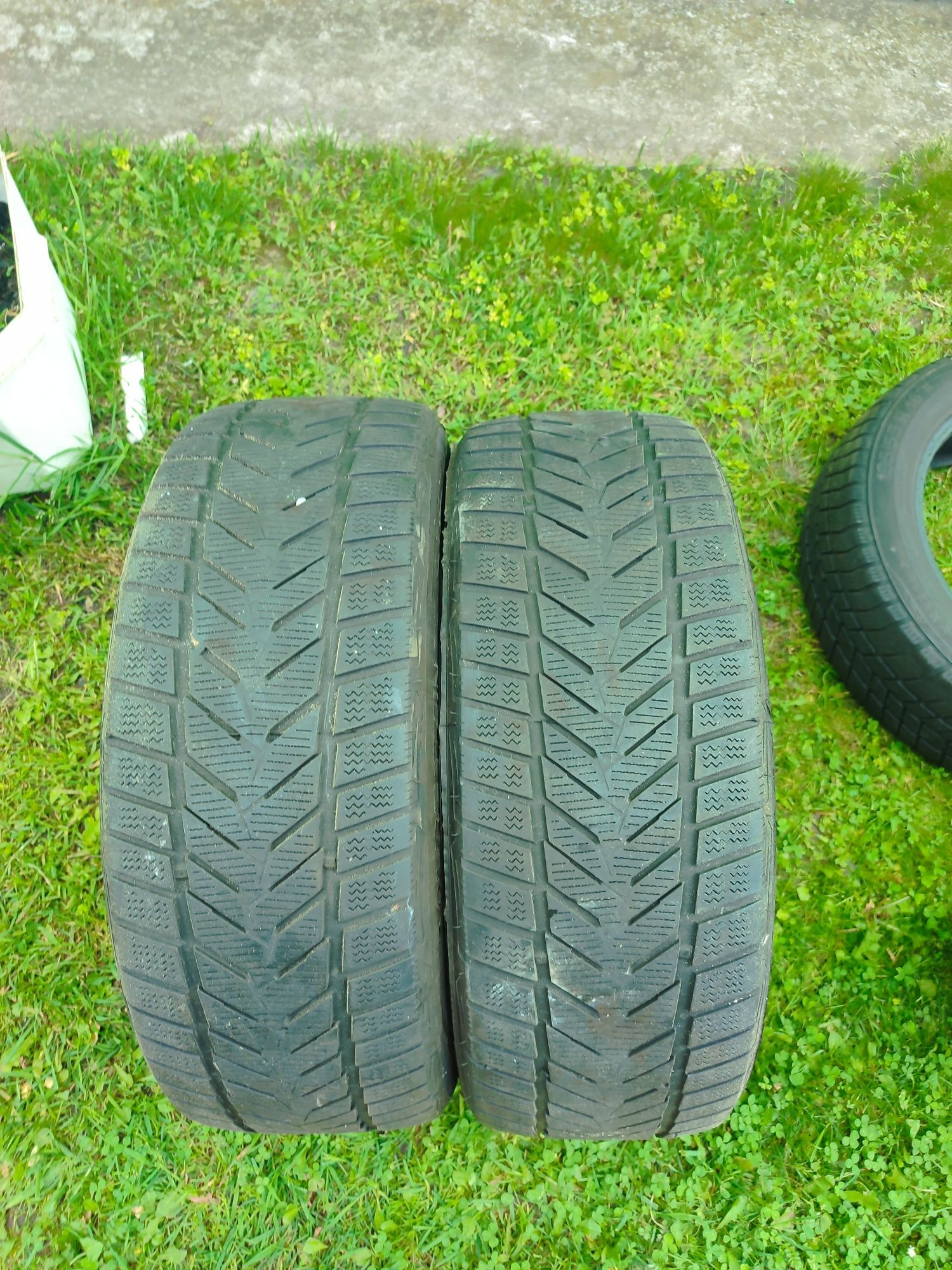 Продам пару шин Vredestein Wintrac xtremeS 205/50R17