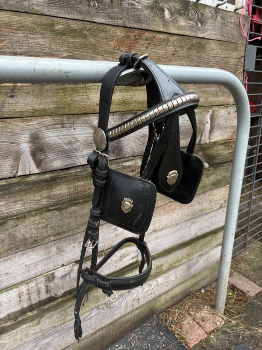 Oglowie zaprzęgowe cob