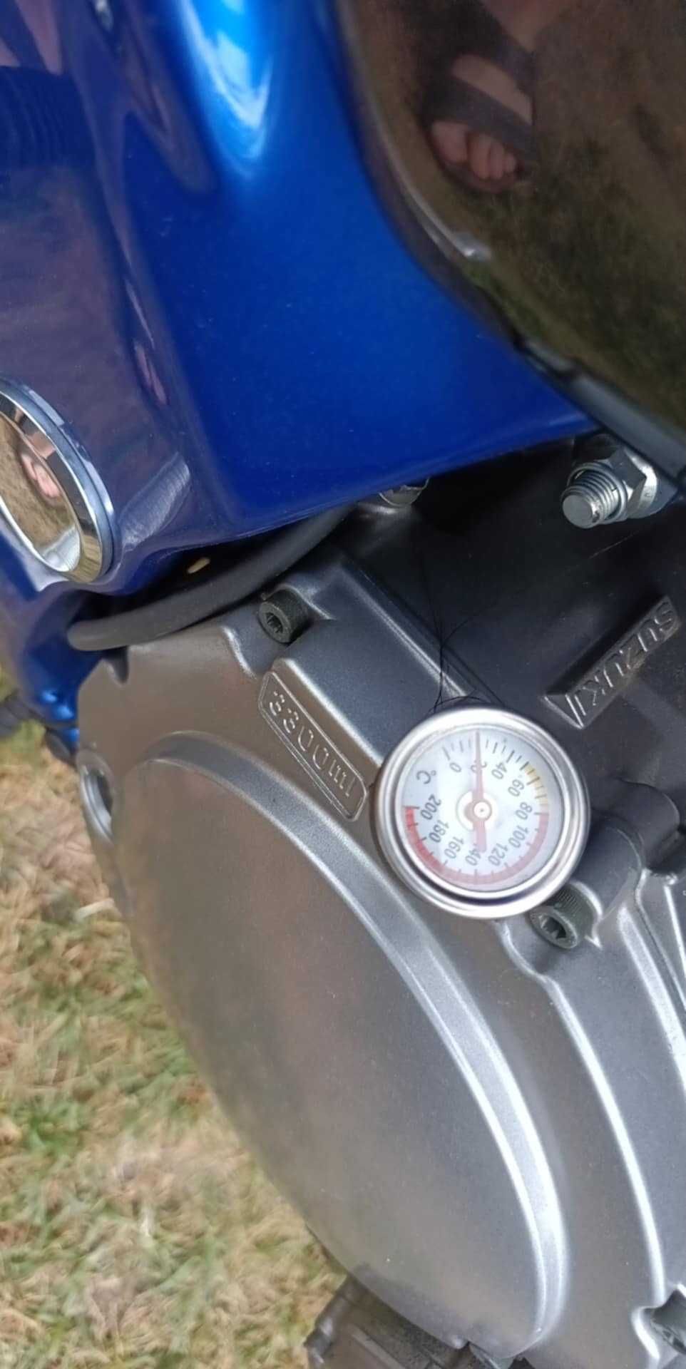 Suzuki Bandit GSF 600s