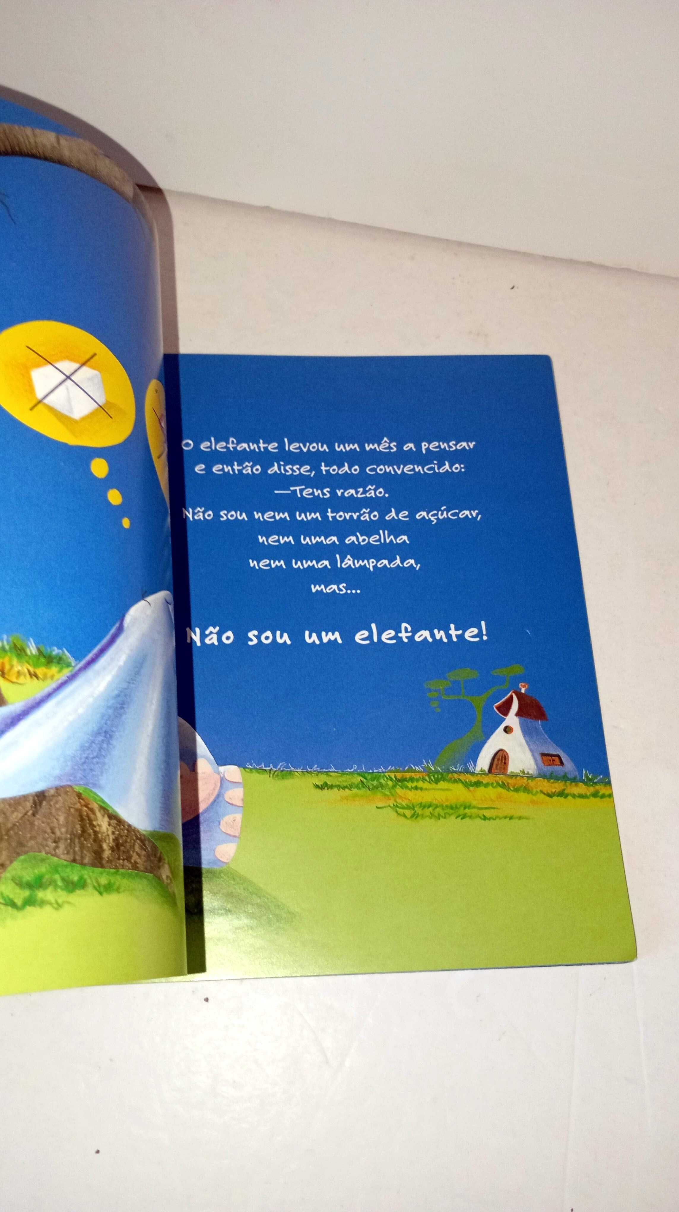 O Elefante que não era elefante