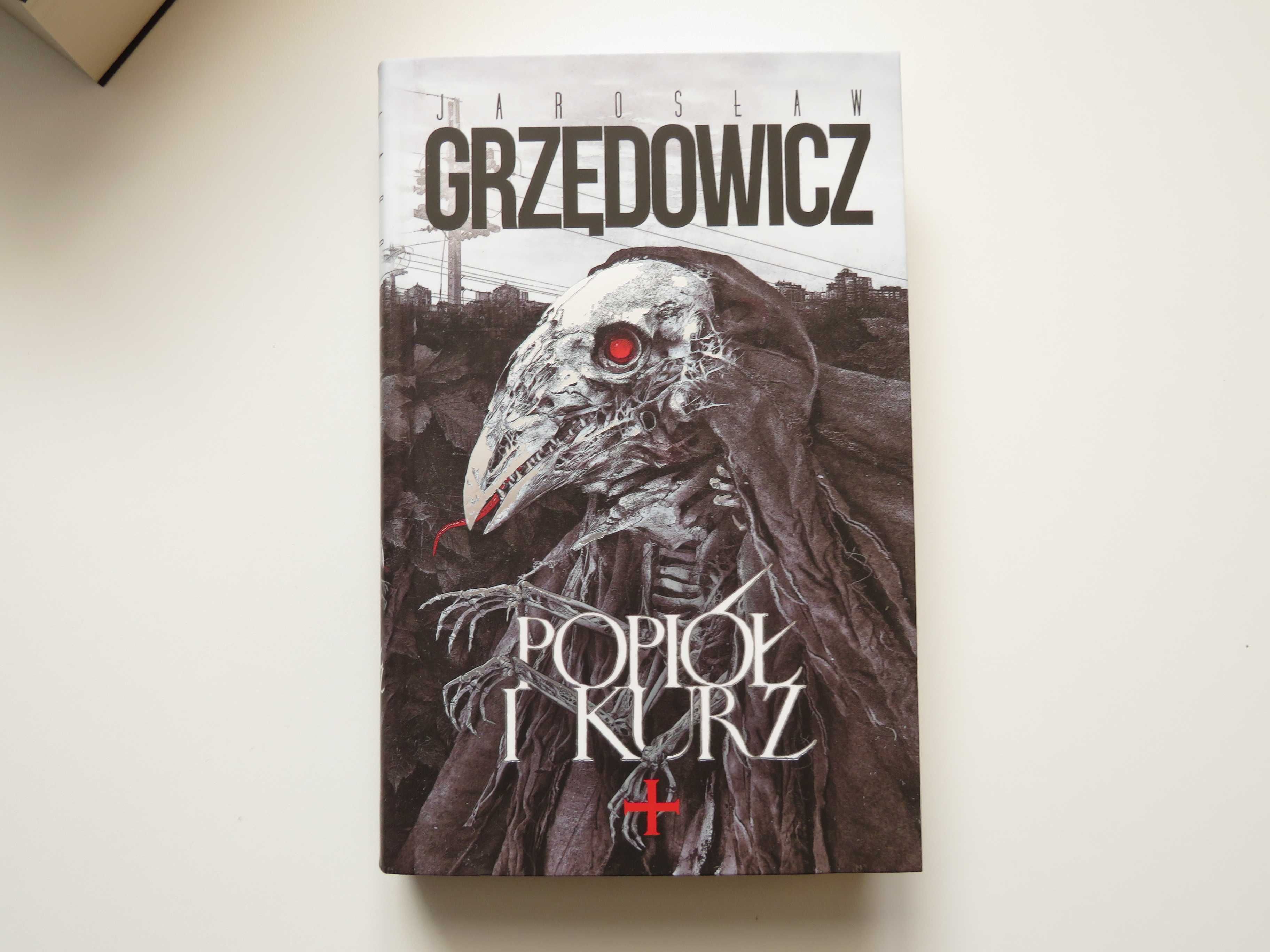 Popiół i kurz - Jarosław Grzędowicz
