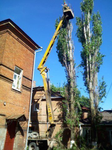 Профессиональный спил деревьев (с авто вышкой и без).