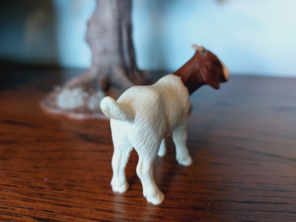 Koza Burska schleich