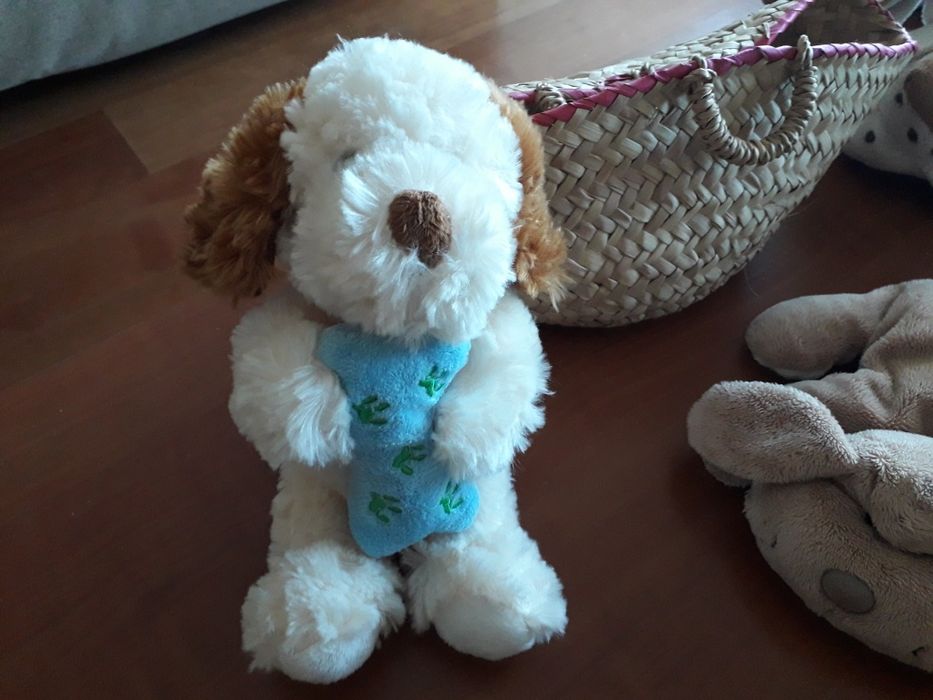 Vários peluches - cães, gato e lua