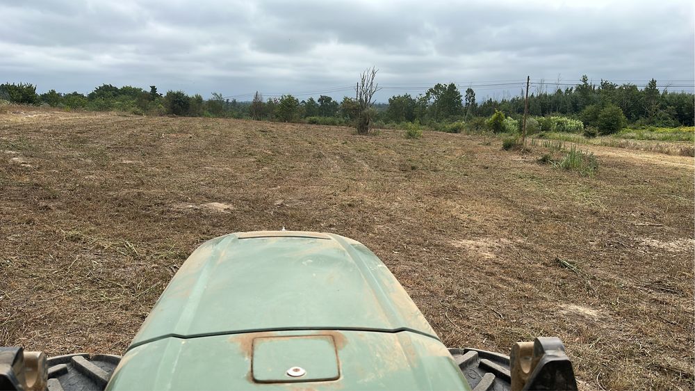 Prestaçao de serviços agricolas florestais