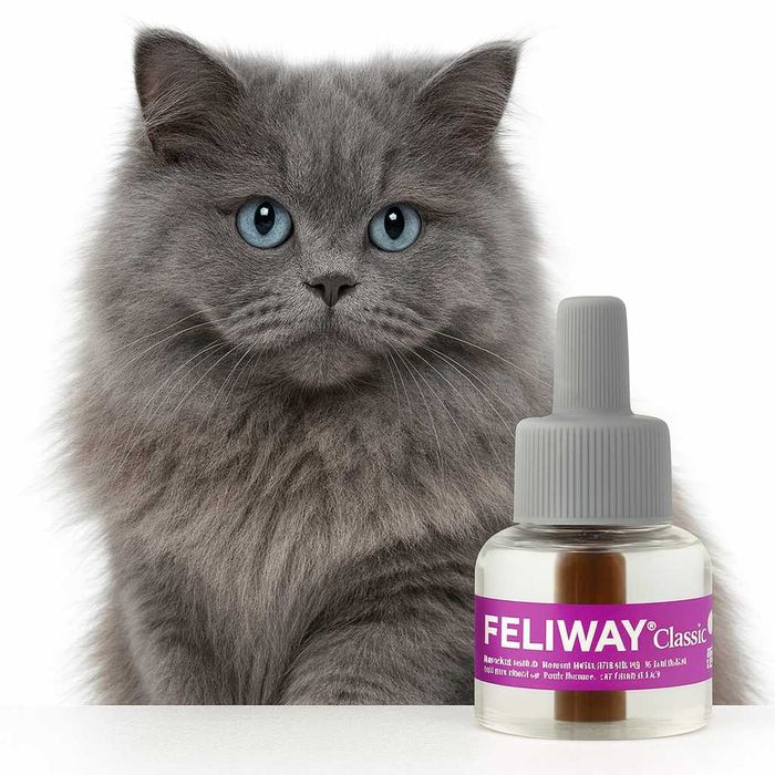 FELIWAY CLASSIC Feromony 3×48 ML (zestaw 3-pak) ORYGINALNY