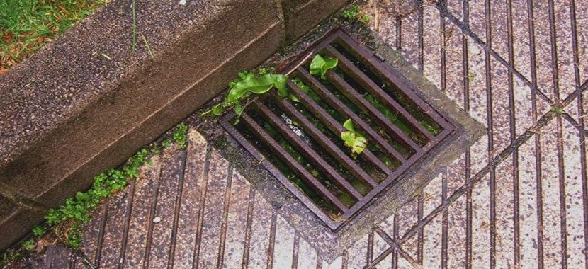 Servico de jardinagem e limpezas