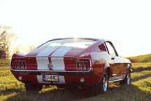 Ford Mustang Ford Mustang Fastback S-code Big Block