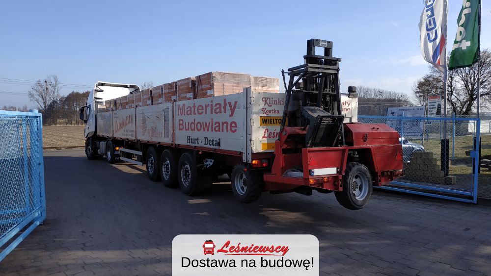 Kostka brukowa ZPB Kaczmarek- Domino/Behaton/Tetka/Kość-6cm Polbruk