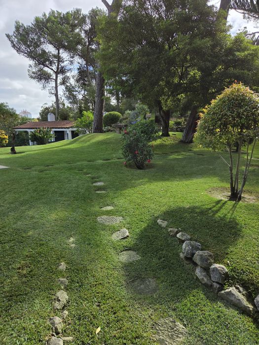 Manutenção de  jardins