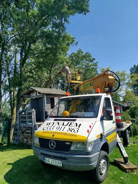 Przycinka pielęgnacyjna drzew,wycinka podnośnik koszowy 20m Gdynia