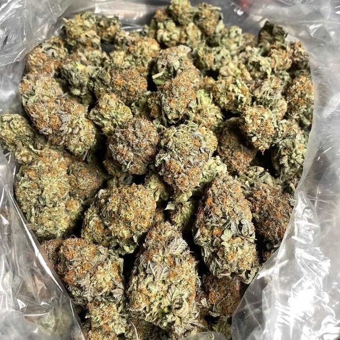 5g White Widow 30% EXCLUSIVE NOWOŚĆ !