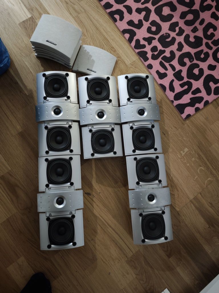 Pioneer acoustic system