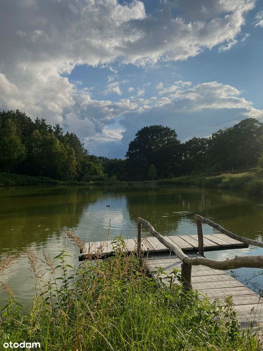 Działka siedliskowa z wydanymi warunkami zabudowy + stawy rybne