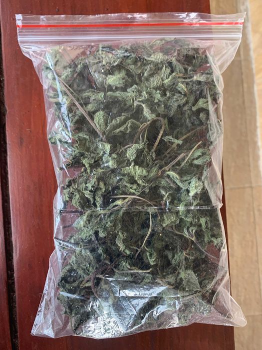 Suszona ekologiczna mięta pieprzowa całe rośliny nie pokruszone 2025r.