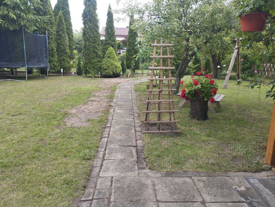 Działka ROD, ul. AKADEMICKA 38 000 zł
